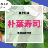 朴葉の奇麗な6月に初めて郷土料理の朴葉寿司作り
