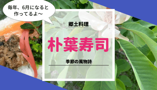 朴葉の奇麗な6月に初めて郷土料理の朴葉寿司作り